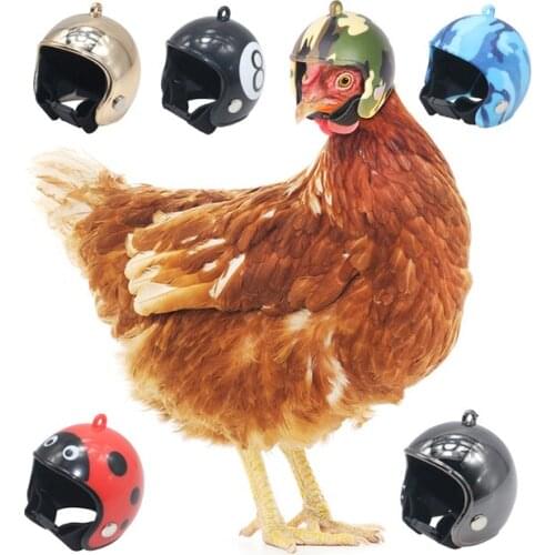 Chicken Helmet Cap Pet Protective Gear Sun Rain Protection Helmet Toy Bird Hens Small Pet Supplies Costumes Accessories