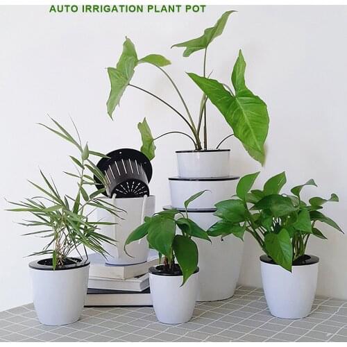Self-watering Hydroponic Potted Flower Pot Creative Wall Hanging Plant Flower Holder Plate Auto water-absorbing Garden Supplies