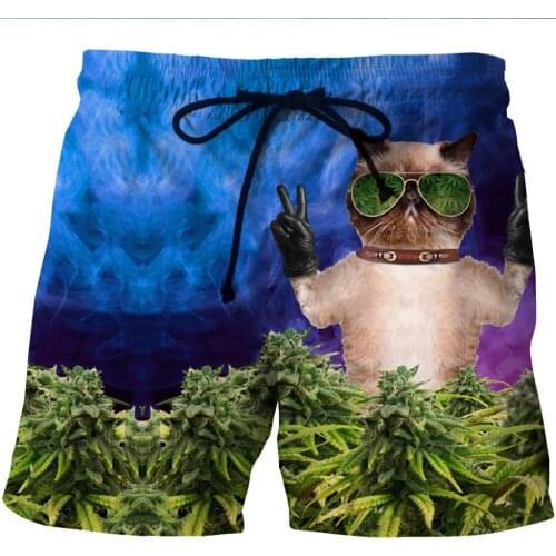 LOVE SPARK Mens Sports Shorts Funny Glass Cat 3D Print Fast Dry Boys Bodybuilding Gym Jogging Beach Shorts M To 6xL