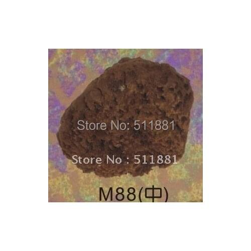 4'' NCCTEC NATURAL sea grass sponge for wall painting FREE shipping | 100mm art grass sea sponge