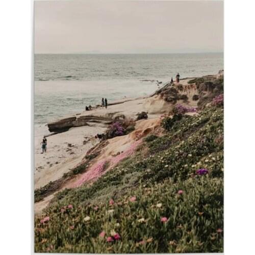 Wall Art HD Prints La Jolla Beach Mountain Lake Canvas Painting Home Decoration For Bedroom Flower Poster Modular Pictures Frame