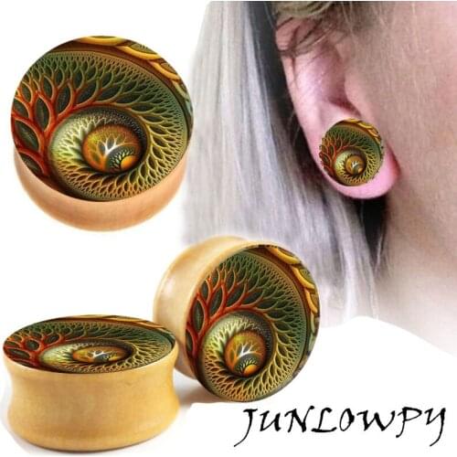 Piercing New Spiral wood Ear Plug Flesh tunnels Tapers Fashion Ear Piercing Body Jewelry for men woman Summer Jewelry Ear