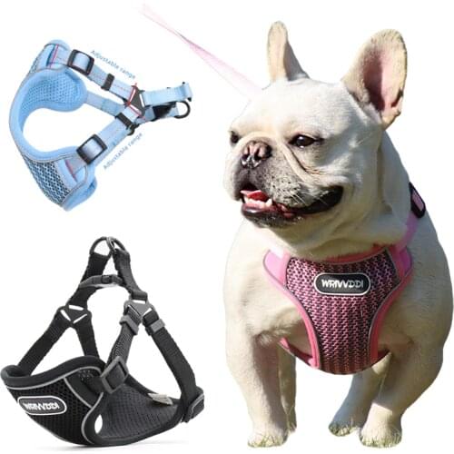 Harnesses Dresspet China