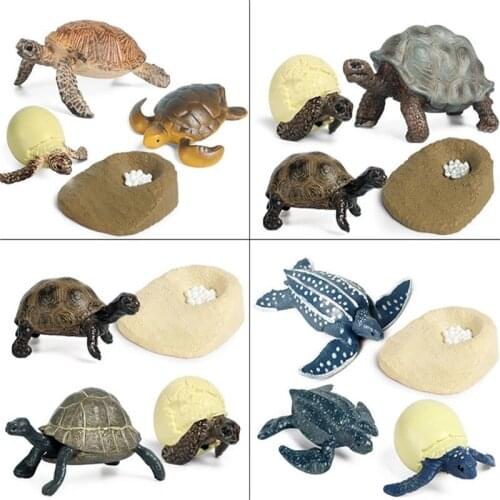 Sea Life Tortoise Animals Simulation Ocean Reptile Turtle Growth Cycle Model Action Figures Baby Early Education Kids Toy Gifts