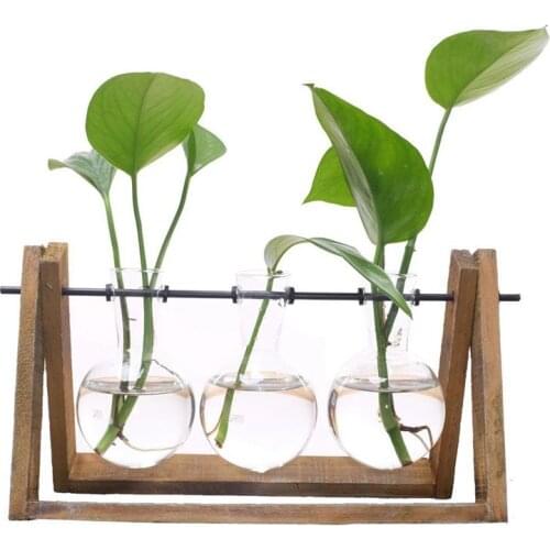 New Plant Terrarium with Wooden Stand Glass Vase Holder for Home Decoration,Scindapsus Container (3 Terrariums)