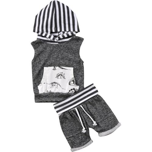 Citgeett 2pcs Toddler Kids Baby Boy T-shirt Hooded Tops+Shorts Pants Outfit Dinosaur Clothes Gray Summer Set SS
