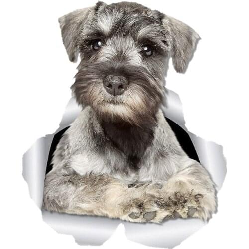 Fuzhen Boutique Decals Exterior Accessories 3D Curious Schnauzer Dog Sticker Decal for Car Wall Kids Room Luggage Skateboard