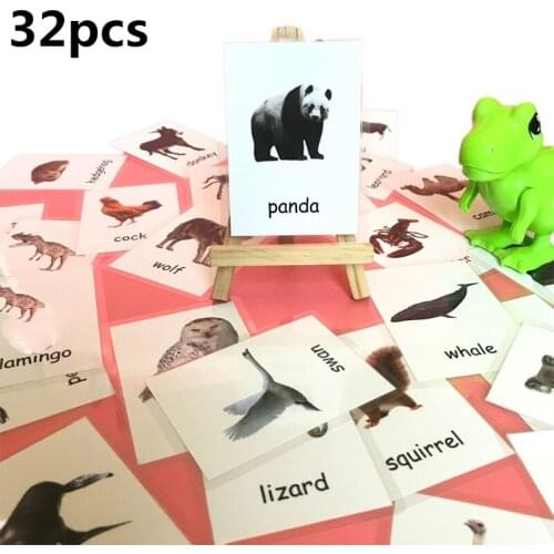 English Early Learning Flash Cards For Kids Life Educational Word Card Y4UD