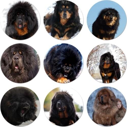 Tibetan Mastiff dog Icons Pins Badge Decoration Brooches Metal Badges For Clothes Backpack Decoration 58mm