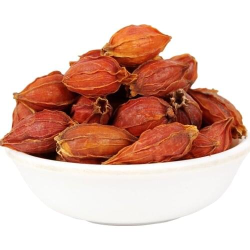 Cape Jasmine Fruit Zhi Zi Wild Organic Gardenia Jasminoides Ellis