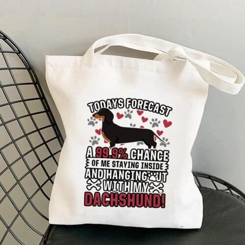 Shopper anging out with My Dachshund Printed Kawaii Bag Harajuku women Shopping Bag Canvas Shopper Tote Bag Shoulder Lady Bag