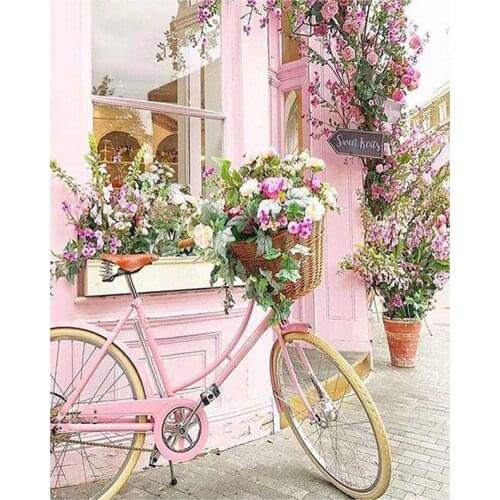Paint By Numbers for Adults,DIY Painting Kit for Beginners,Bicycle Acrylic Painting Is Suitable for Living Room