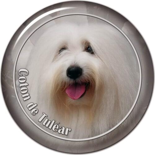 B0827# 13CM/17CM Self-Adhesive Decal Coton De Tulear Dog Car Sticker Decors on Bumper Rear Window Laptop