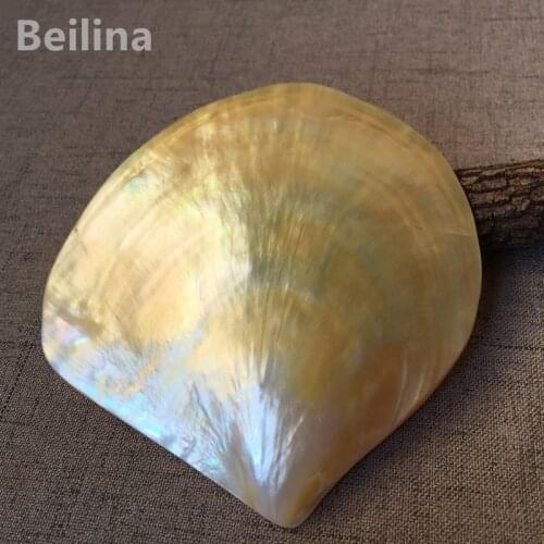 Natural yellow mother of pearl shell craft Conch DIY Home Decoration Crafts Aquarium Landscaping Wedding Landscape Decoraition