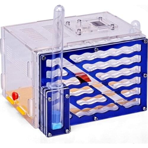 CG1233 DIY Ant Farm Ant House 5-layer Acryl Ants Farm Anthill with Moisture Feeding Area Birthday Present Gift House Ants