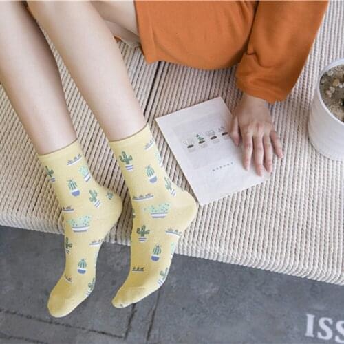 Daily Casual Soft Socks Women Cartoon Plant Cactus Pattern Socks Girls Comfortable Cute sokken Warm Short Women Socks