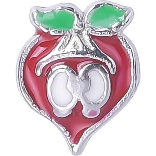 F107 Trendy Enamel Red Peach Charms Fit Memory Glass Lockets Pendant For Women Handmade Jewellery