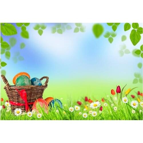2017 Hot Sale Backgrounds Easter Eggs Grass Daisy Flower Fairy Cartoon Basket Painted Eggs Children Background for Photo Shoots