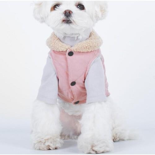 Cotton Pretty Cartoon Bear Pattern Pet Cat Apparel Two-leg Cat Vest Wide Application for Winter