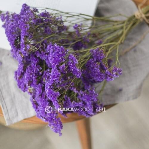 INS Purple Starry Starry Myosotis Sylvatica Dry Bouquet Preserved Fresh Flower Real Flower Air-Drying Home Flower Arrangement