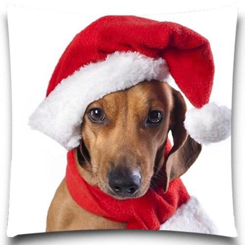Christmas pet high Quality Soft Cushion Covers Christmas Halloween gift Cotton Polyester Pillow Cases 5 size 9 style