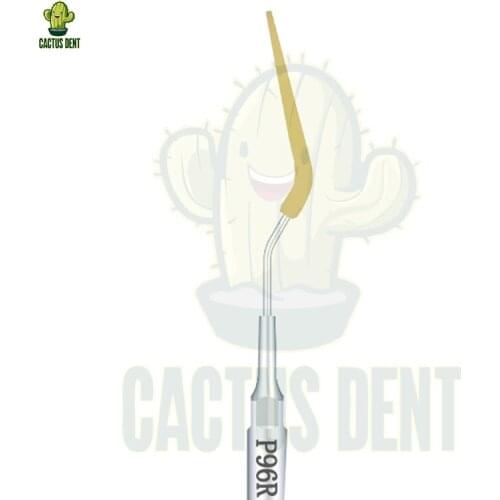 Dentistry Clinic EMS Woodpecker Piezo Tips Cavitron Dental Piezo Scaler Tips Ultrasonic Insert for Cleaning Implants Periodontic