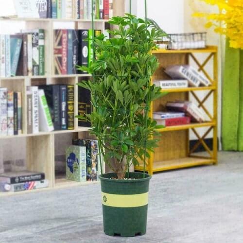 Protection Plant Support Climbing Plant Support Cage Garden Trellis Flowers Stand Rings Tomato Support Home