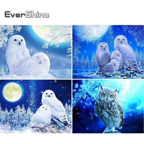 EverShine 5D DIY Diamond Painting Set Owl Diamond Mosaic Animal Picture Of Rhinestones Embroidery New Arrival Decor For Home