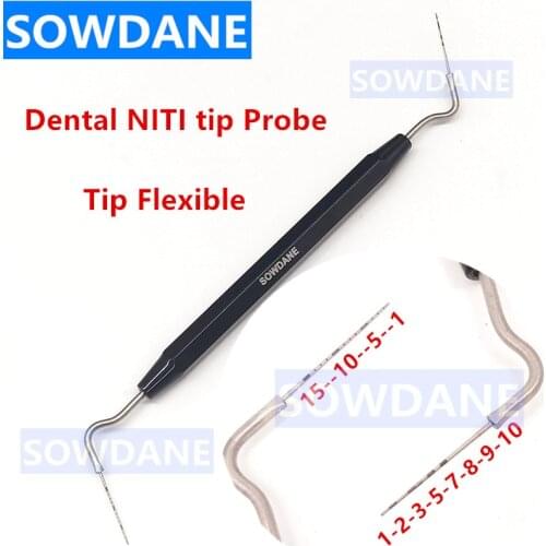 Dental Periodontal Probe with Scaler Dentist Explorer Tool Endodontic Tooth Cleaning Niti Tip Flexible