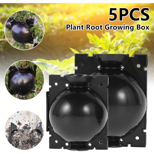5pcs Plant Rooting Ball Grafting Rooting Growing Box Plant Cloner Grafting Breeding Seeding Container Nursery Box Garden Seeds R