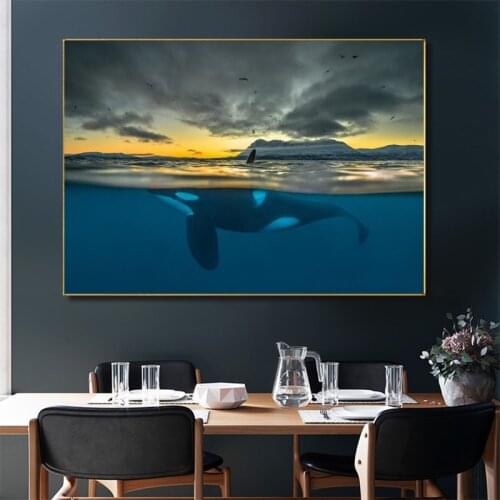 Killer Whale In Polar Night Cetacean Canvas Painting Posters and Prints Wall Art Picture for Living Room Home Decoration Cuadros
