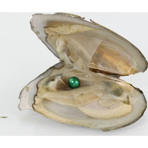 Fashion Green Freshwater Pearl Oysters Vacuum Packed 7-8MM Round Akoya Pearls in Oysters 30Pcs Love Wish Pearl Gift FP223