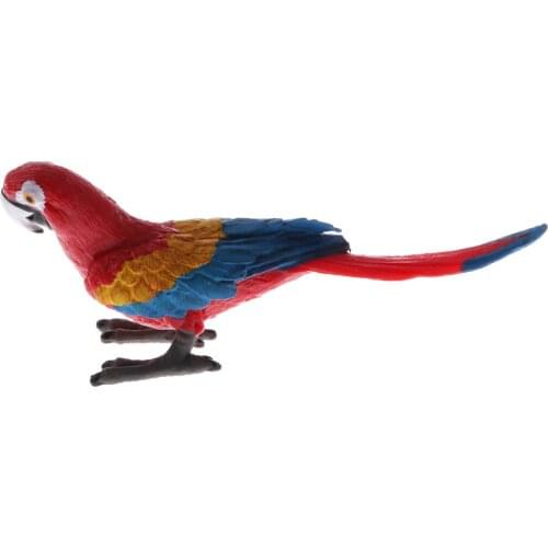 Plastic Realistic Wildlife Jungle Forest Animals Parrot Action Figure Toys Play Set, Educational Toys For Kids Collectibles