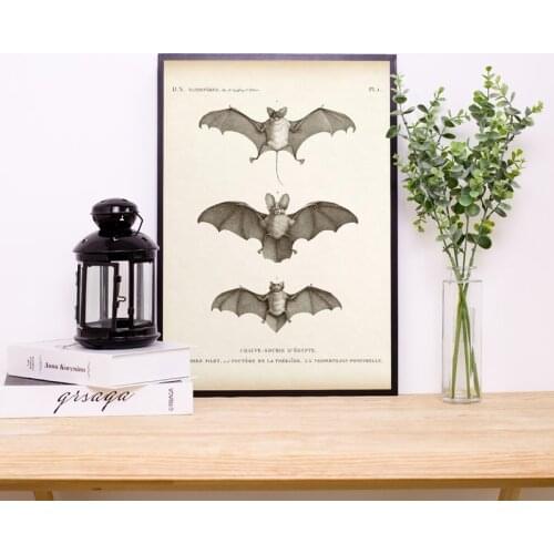 Abstract Wall Vintage Spooky Animal Bat Painting Nordic Canvas Posters and Prints for Living Room Bedroom Corridor Decoration