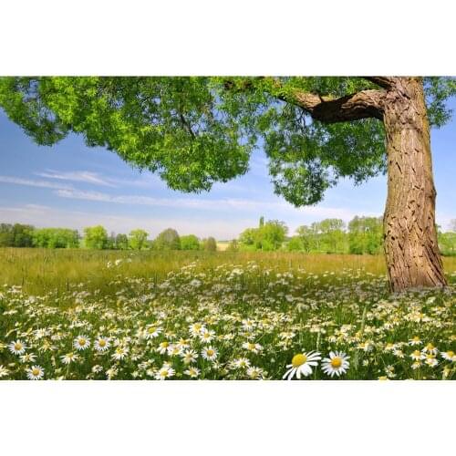 Spring Park Garden Flower Field Grassland Nature Scenery Photography Backdrop Vinyl Photographic Background For Photo Studio