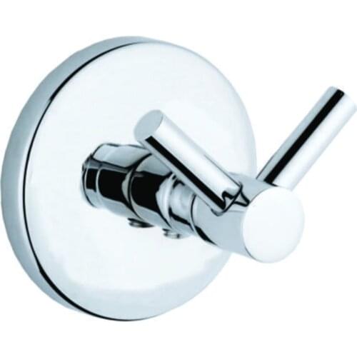 Desıgn Stainless Dual Robe Hook