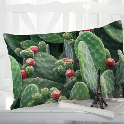 1pc Pillow cover Pillow case Luxury Bedding Pillowcase Pillowcovers decorative Customizable size 3D Print Nordic Cactus fruit