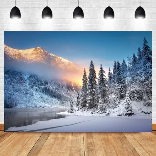 Laeacco Winter Nordic Nature Landscape Photo Background Forest Mountain River Photographic Photo Backdrop For Photo Studio