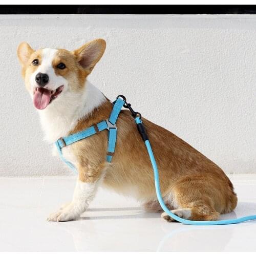 Small Dog Cat Harness Leash Adjustable Vest Collar Puppy Outdoor Walking Chihuahua Terier Schnauzer Pet Rope Accessories