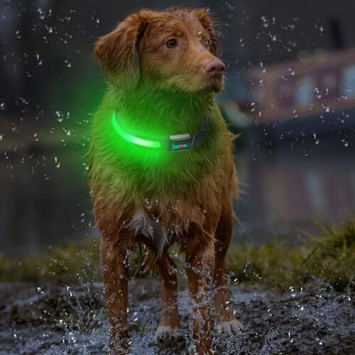 HONEYCARE LaRoo Bright LED Dog Collar-Adjustable Durable Glowing Light USB Rechargeable Pet Necklace Waterproof Pet Products