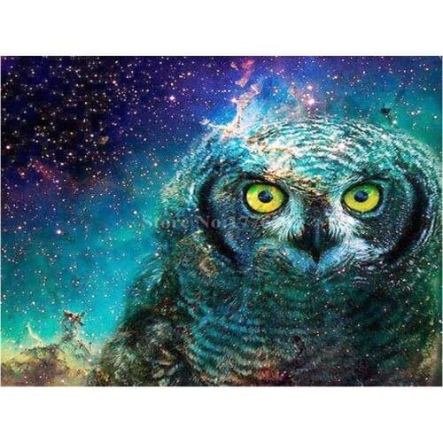 Full square diamond painting owl bird rhinestone embroidery animals mosaic decor diamond dots poster wall paper diy craft gift