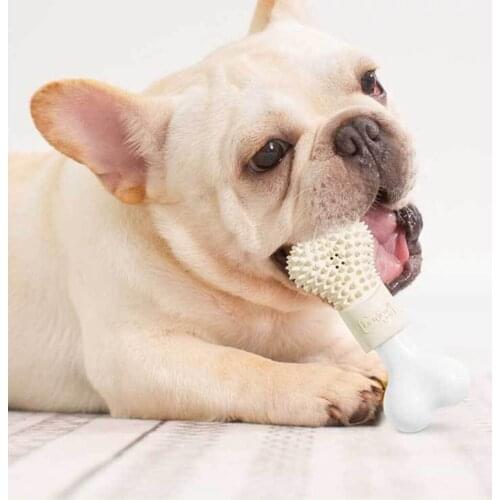 Legendog Dog Chew Toy Rubber Bone Shape Puppy Teething Toy Pet Toothbrush Toy For Puppies Pet Puppy Interractive Toys