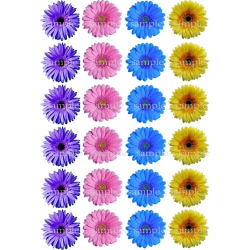 Rikivity 24 Pale Color Mixed Gerbera Flower Edible Cake Topper Wafer Rice Paper Cupcake Topper Birthday Baby Shower Decoration
