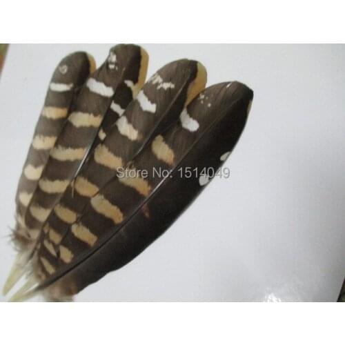 Free shipping wholesale 100pcs high quality natural Wild pheasant feathers 12-18cm / 5-7inch variety of decorative and collect