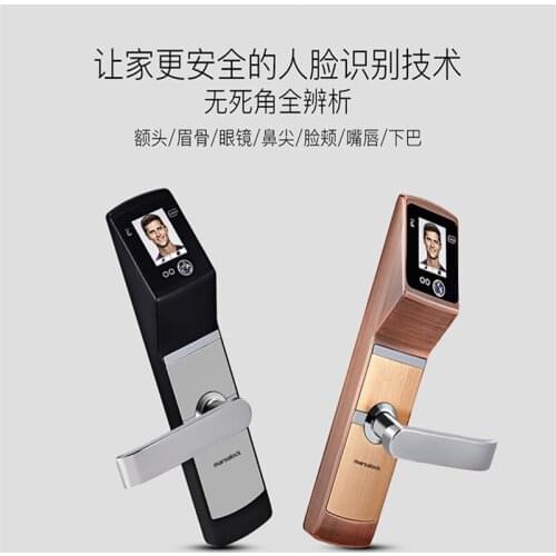 Intelligent Smart Face Recognition locks keyless lock