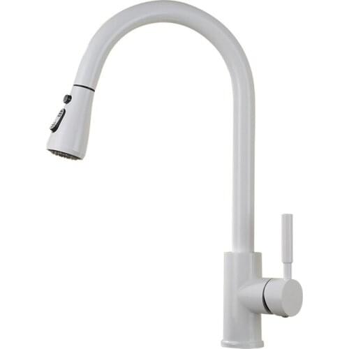 Copper dual-function water outlet with stop faucet, rotatable sink, vegetable basin, hot and cold water faucet