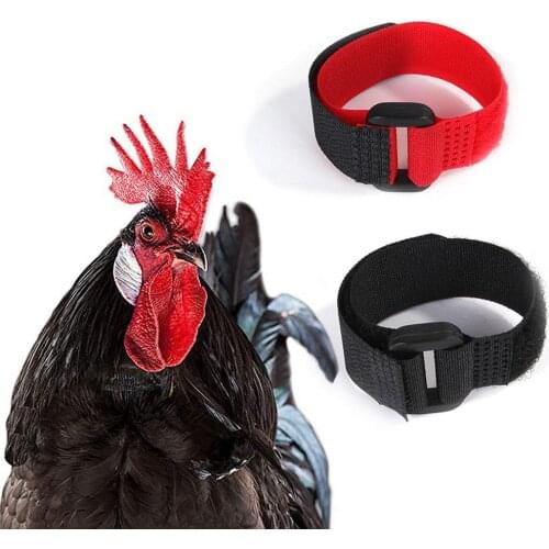 2pcs Improved Chicken Collar No-Crow Rooster Collar Fowl Neckband Accessories For Farm Poultry