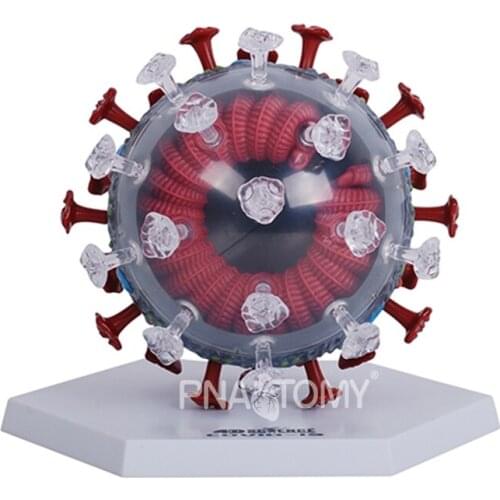 4D MASTER Virus Model 50 Parts DIY Toys Educational Equipment Children Gift Assembly Model Teaching Resources Cell Anatomical