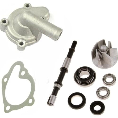 Water Pump Kit For 250CC ATV Quad Chinese Motorcycle Engine Kazuma Cougar Gator Falcon 250 CN250 CF250