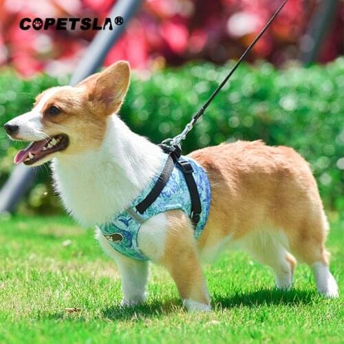 Copetsla Dog Harness with Leash Adjustable Reflective Vest Walking Lead for Puppy Polyester Mesh Harness for Cats Dogs Rabbits